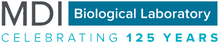 MDI Biological Laboratory Learning