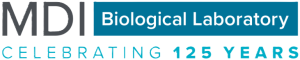 MDI Biological Laboratory Learning